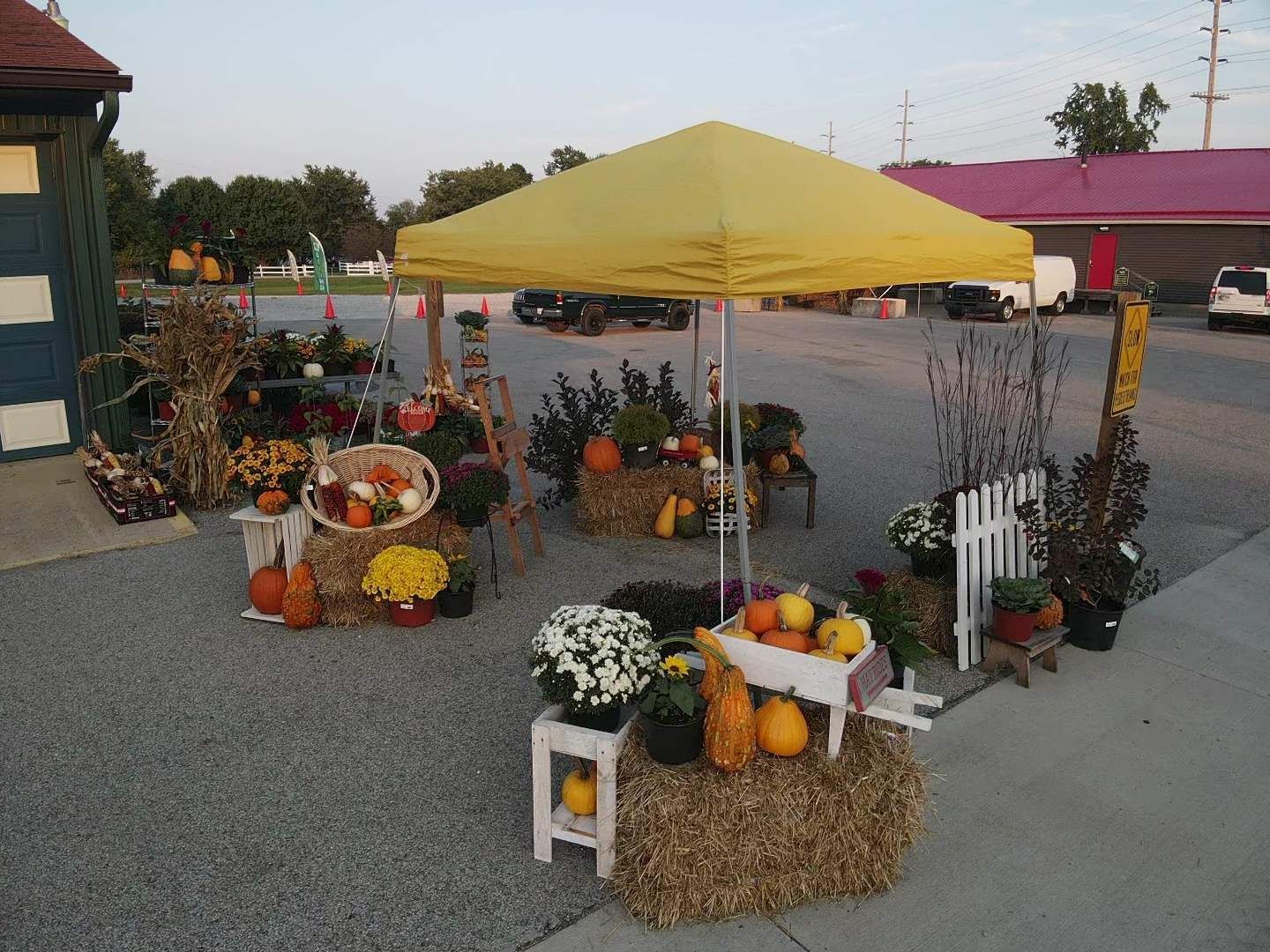A yellow tent is sitting in a parking lot surrounded by pumpkins and hay bales.