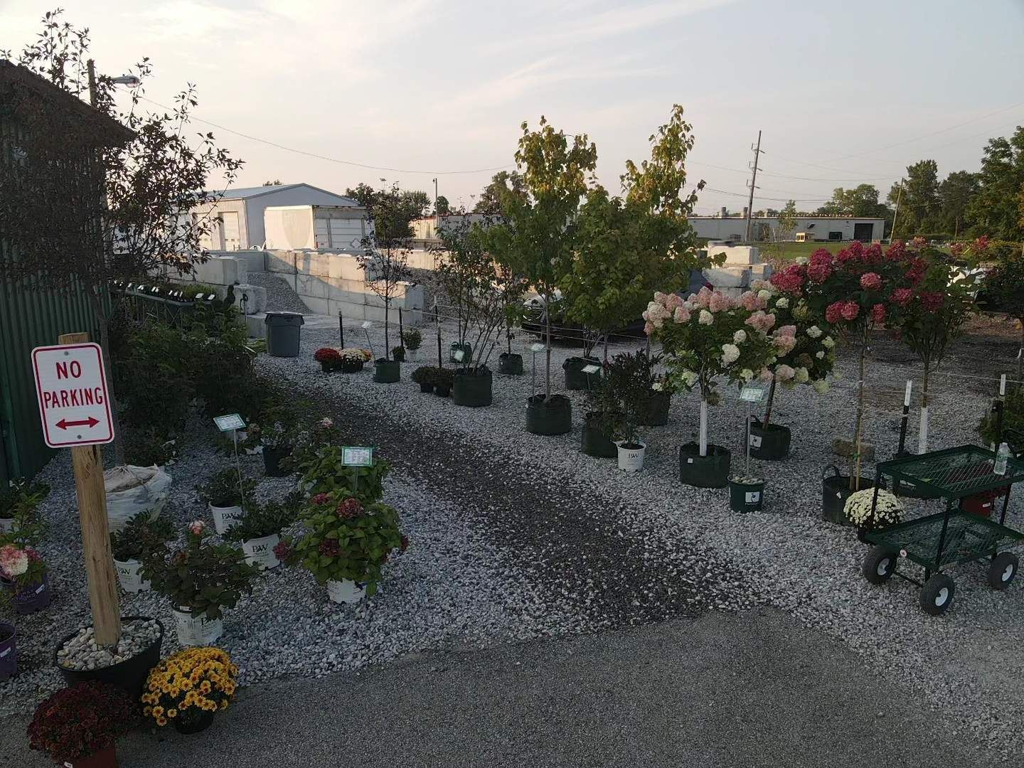 A garden with a sign that says no parking on it