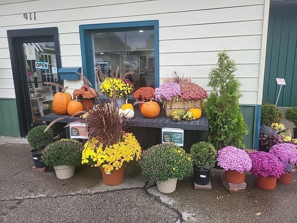 A display of pumpkins and flowers outside a store