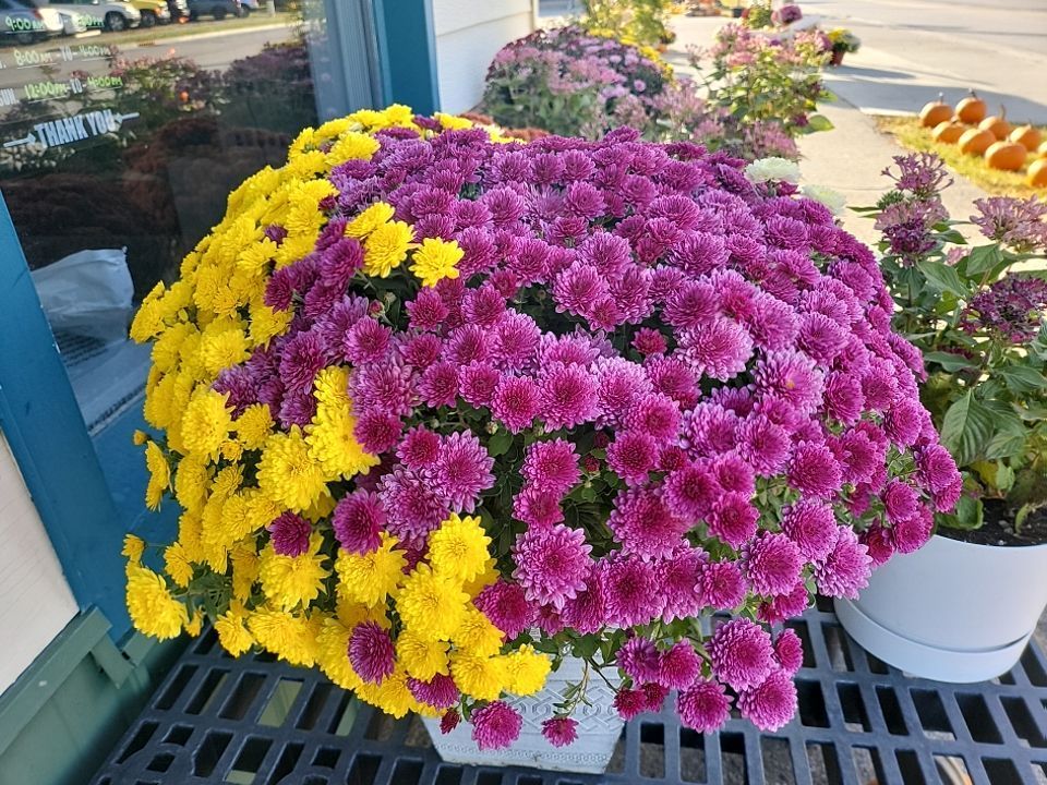 A bunch of yellow and purple flowers are sitting on a table.