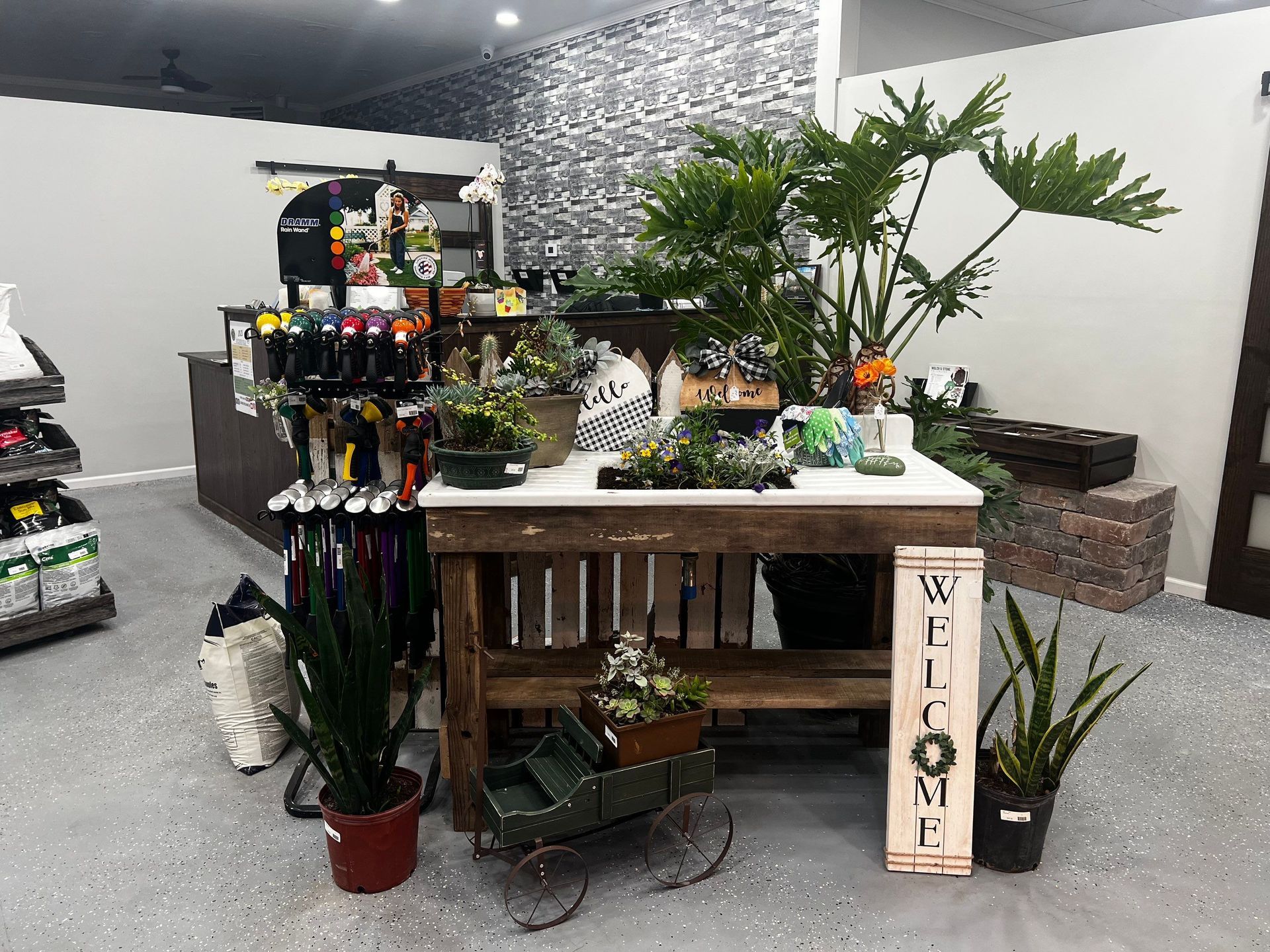 A table with plants and a welcome sign on it in a store.