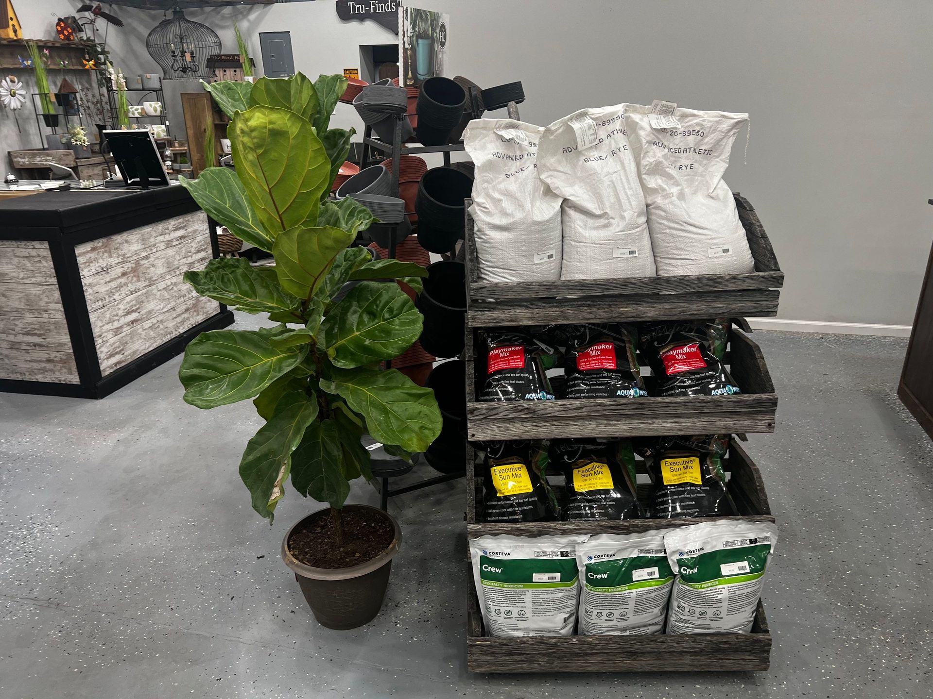A potted plant is sitting next to a shelf filled with bags of soil.