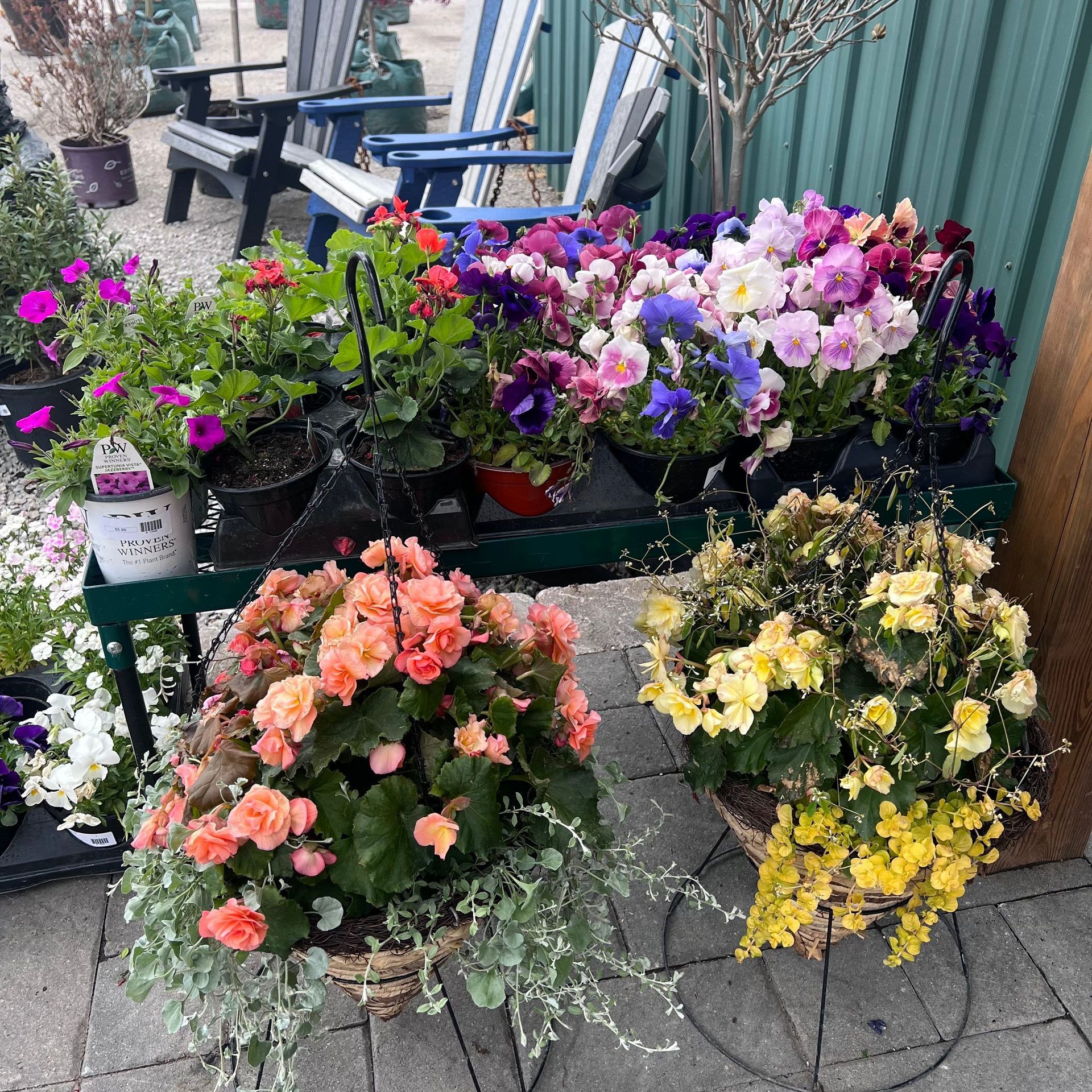 A bunch of flowers are sitting on a table outside