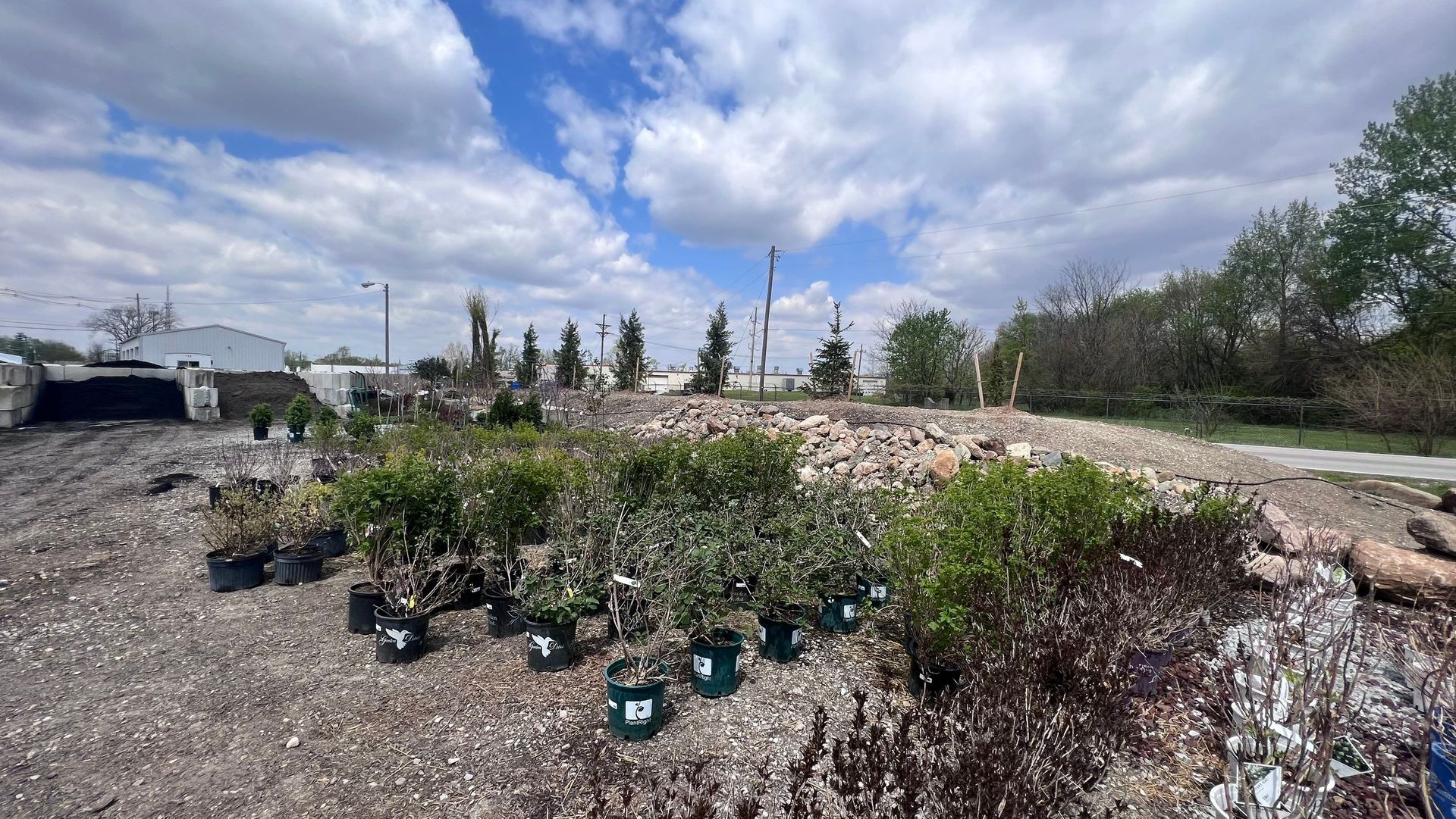 A lot of potted plants are sitting on top of a dirt field.