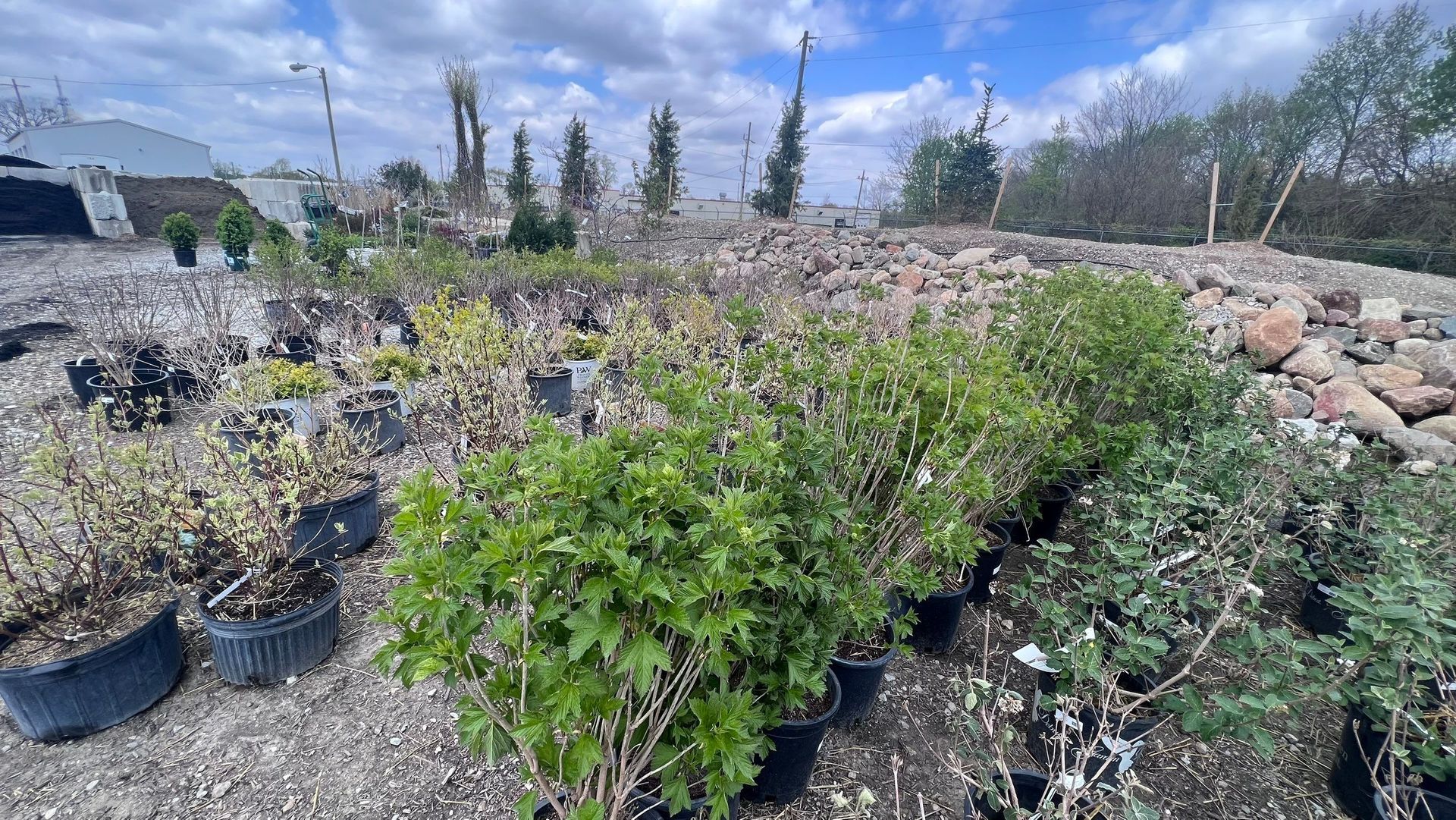 A bunch of potted plants are sitting on top of a dirt field.