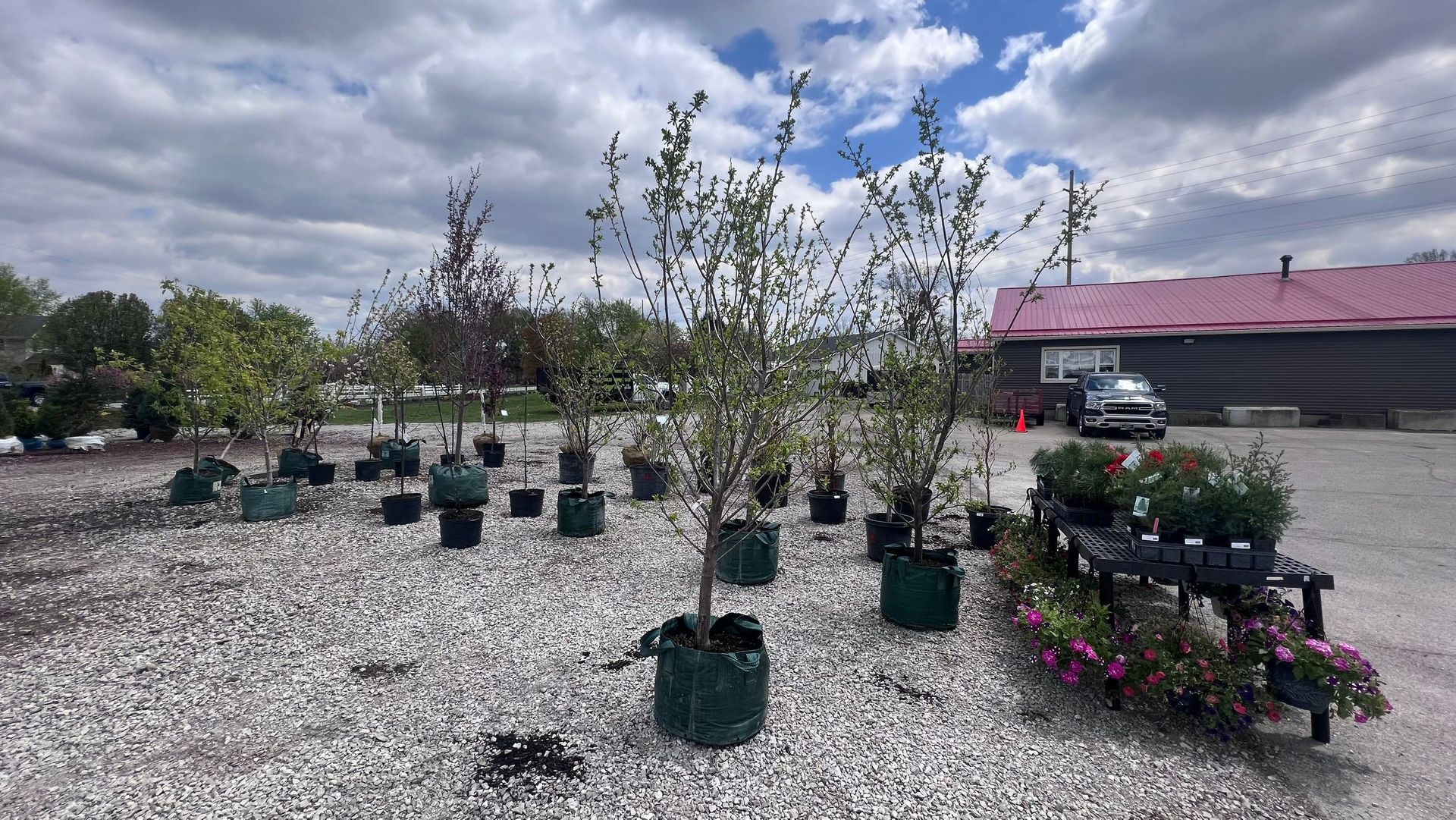 A lot of potted plants are sitting in a gravel area in front of a building.