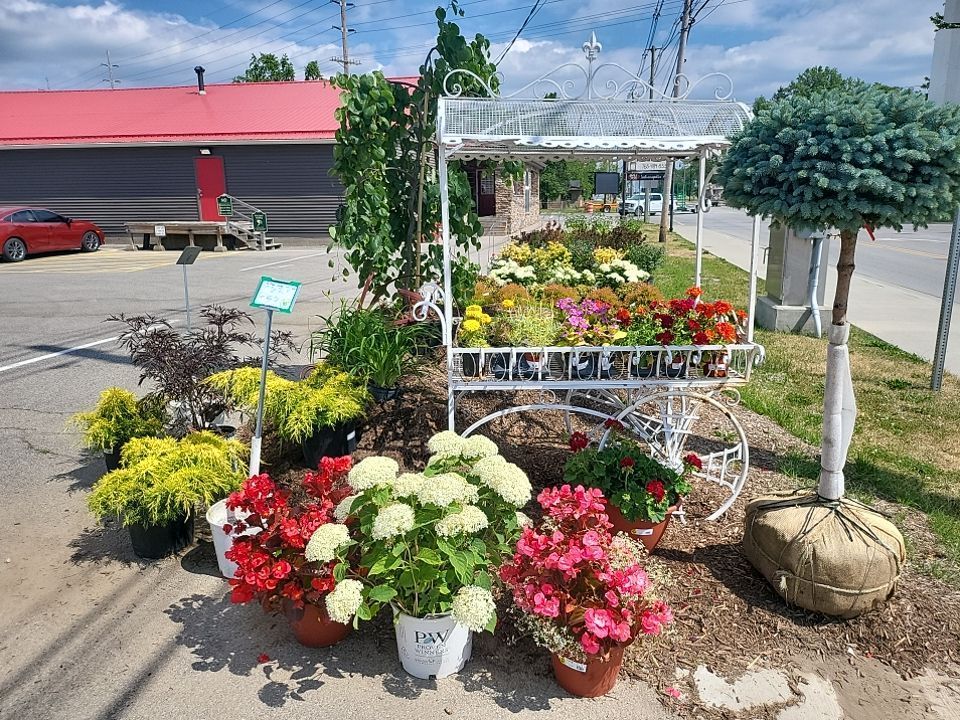 A bunch of potted plants are sitting on a gravel surface.