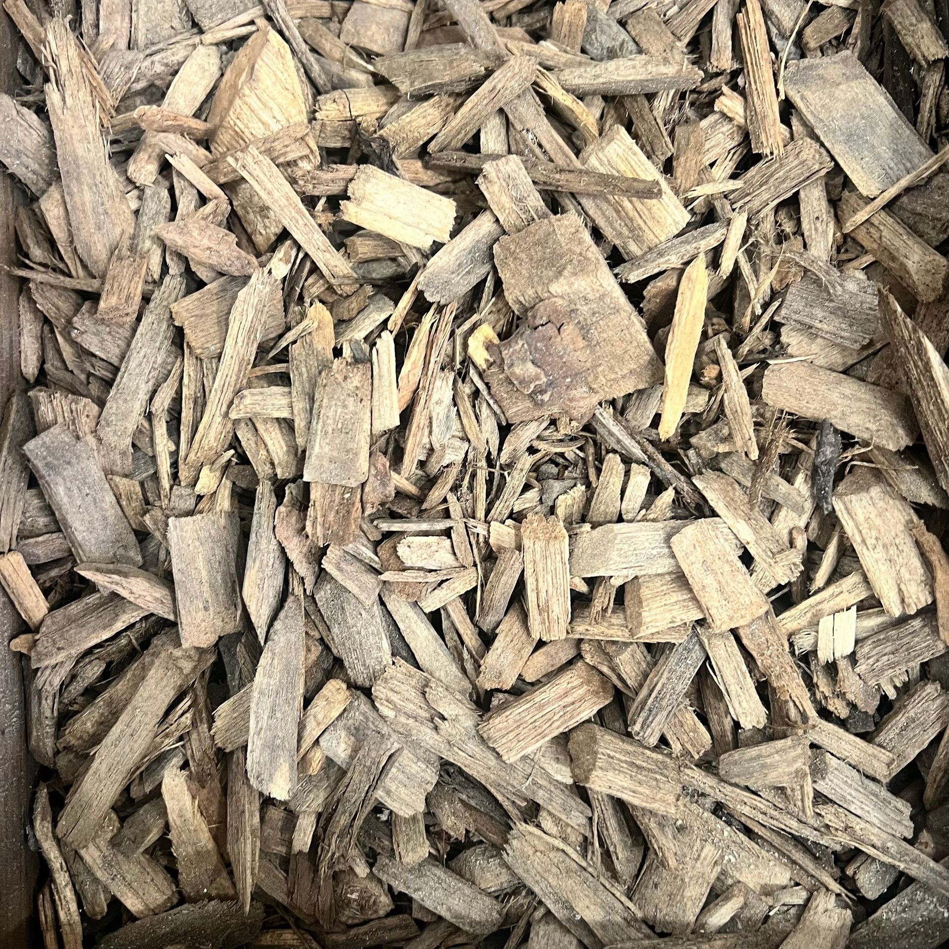 A pile of wood chips in a box.