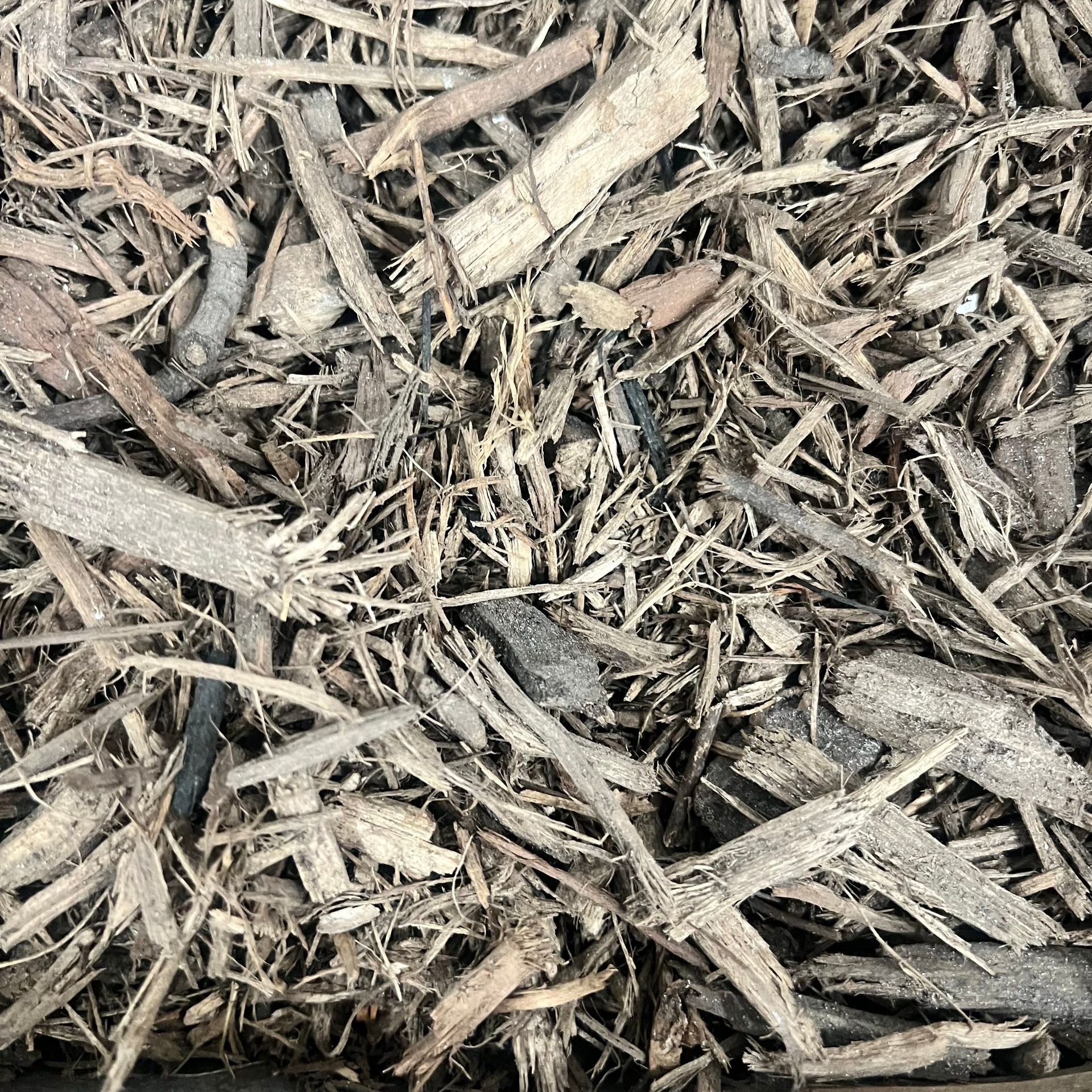 A pile of wood chips is sitting on the ground.