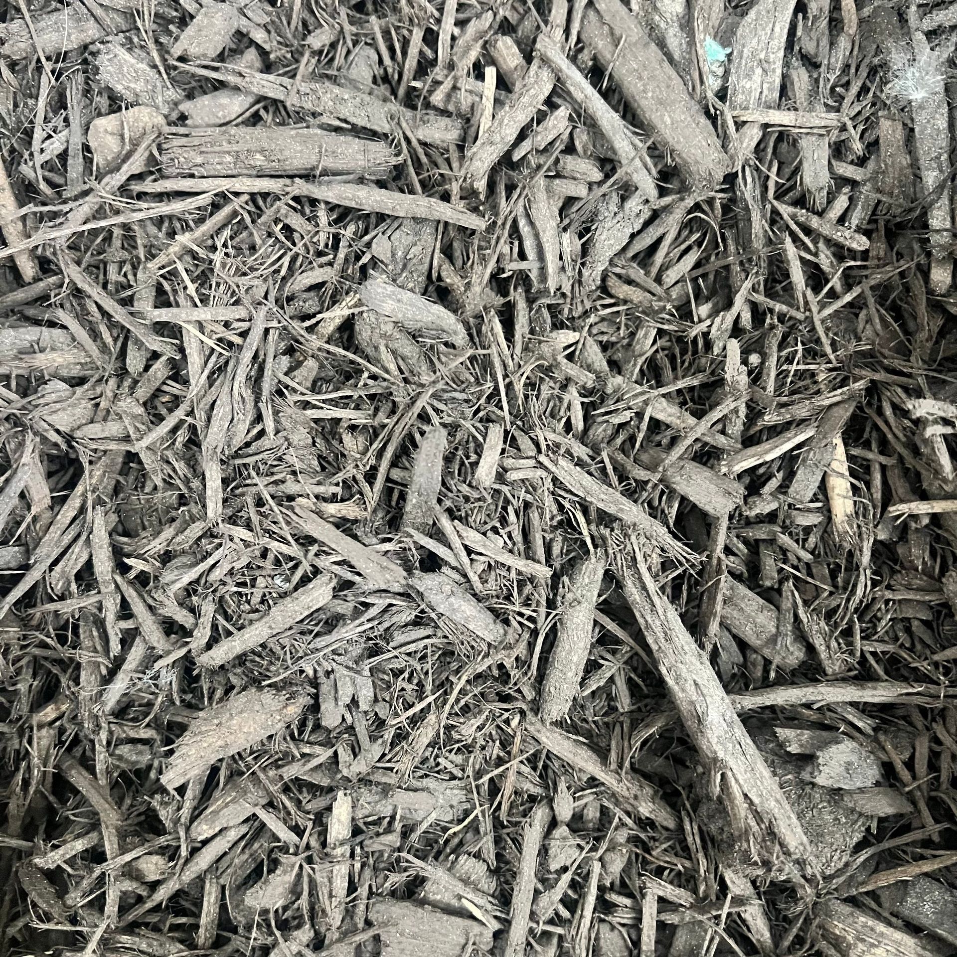A pile of wood chips is sitting on the ground.