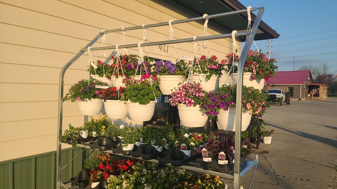 A bunch of potted plants are hanging from a rack in front of a building.