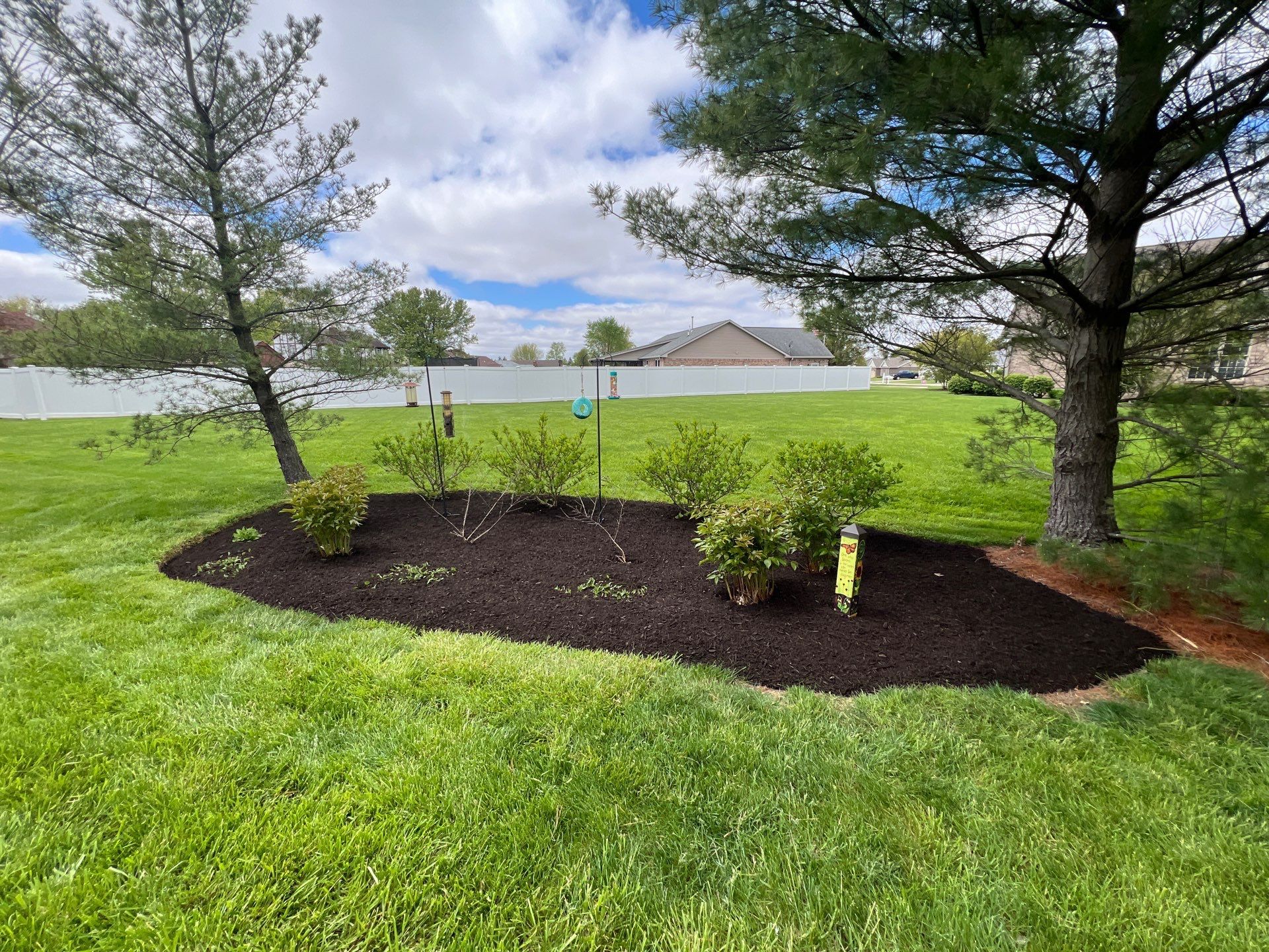 A lush green lawn with trees and mulch in the middle of it.