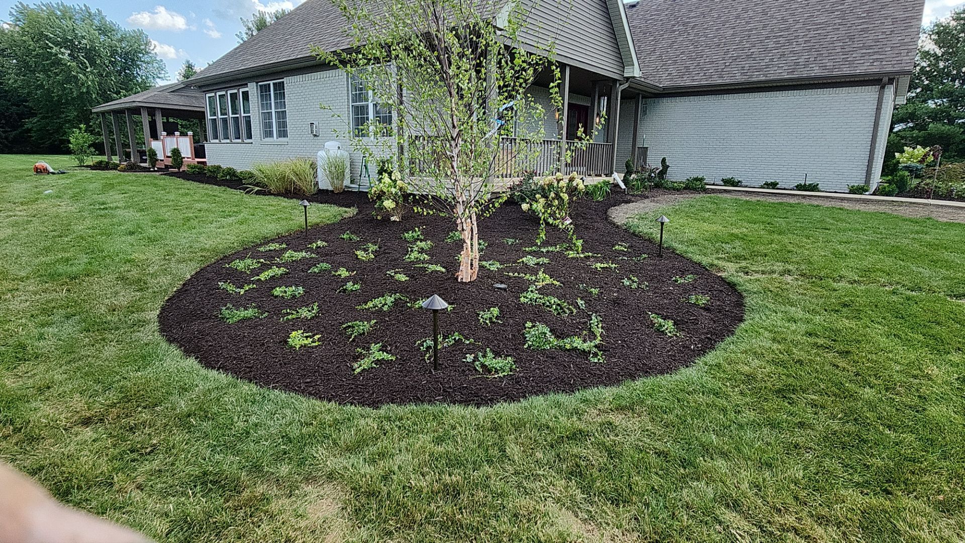 A person is standing in front of a house with a tree in the middle of the yard.