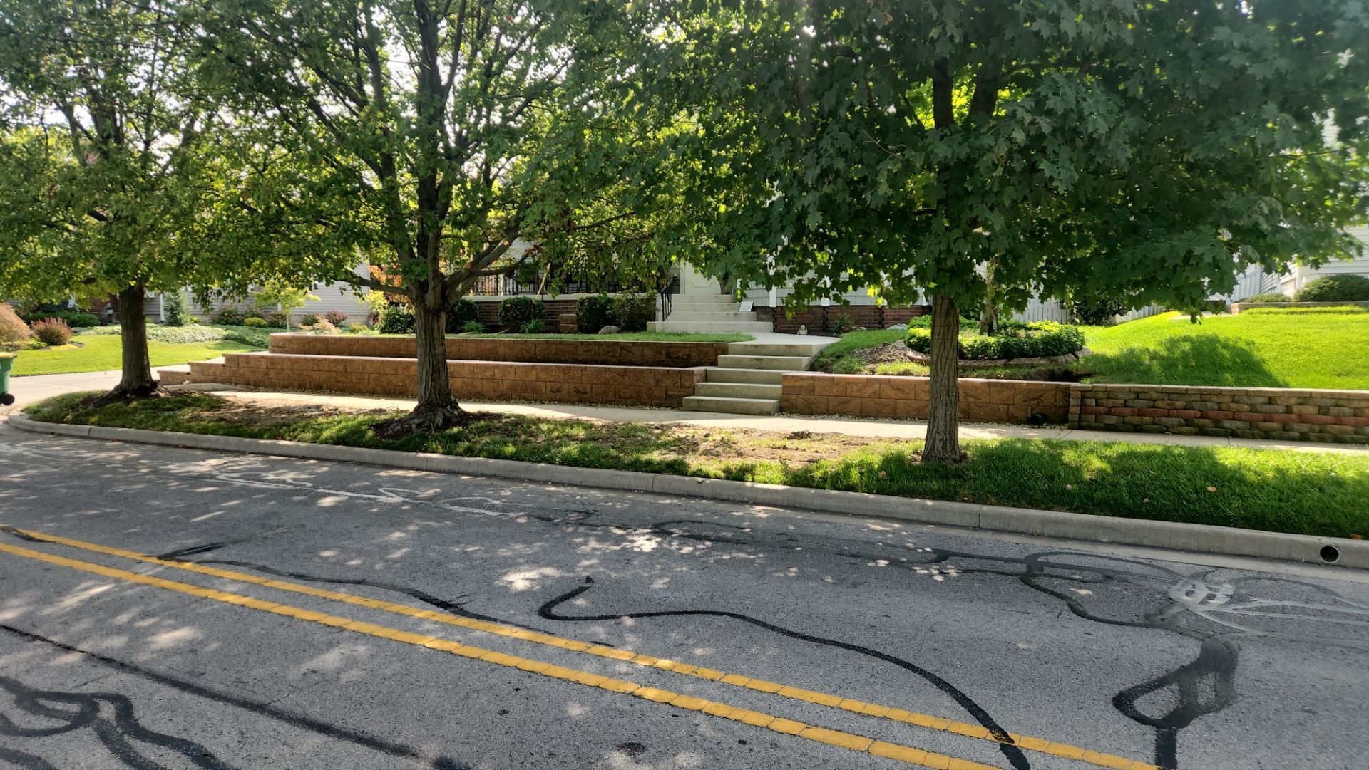 A street with a lot of trees and a house in the background.