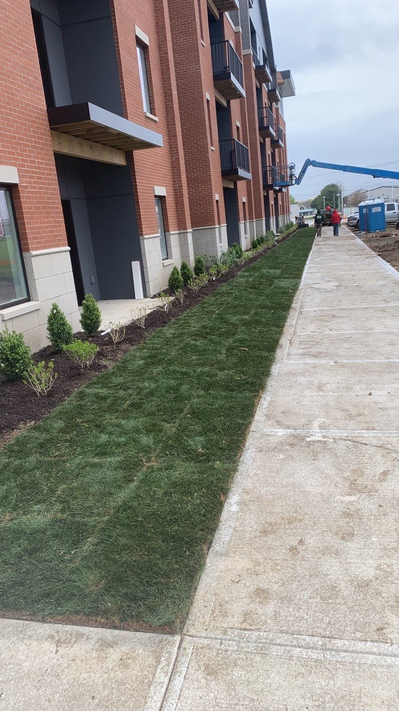 A sidewalk leading to a building with a lot of grass on it.