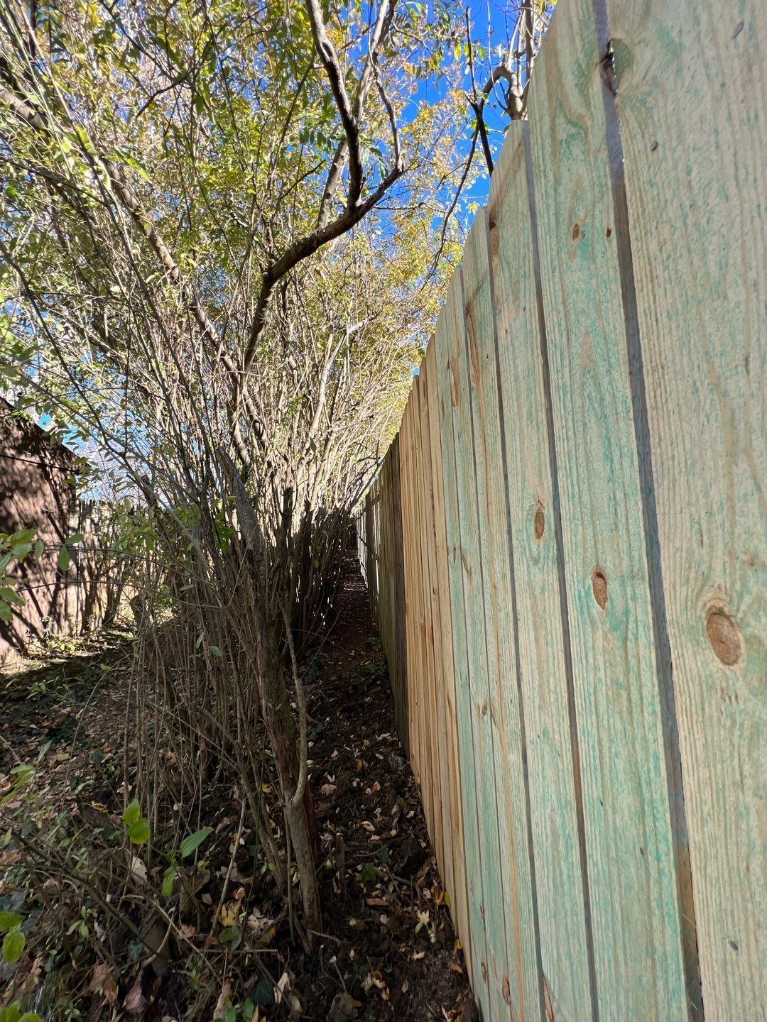 A wooden fence is surrounded by trees and bushes.