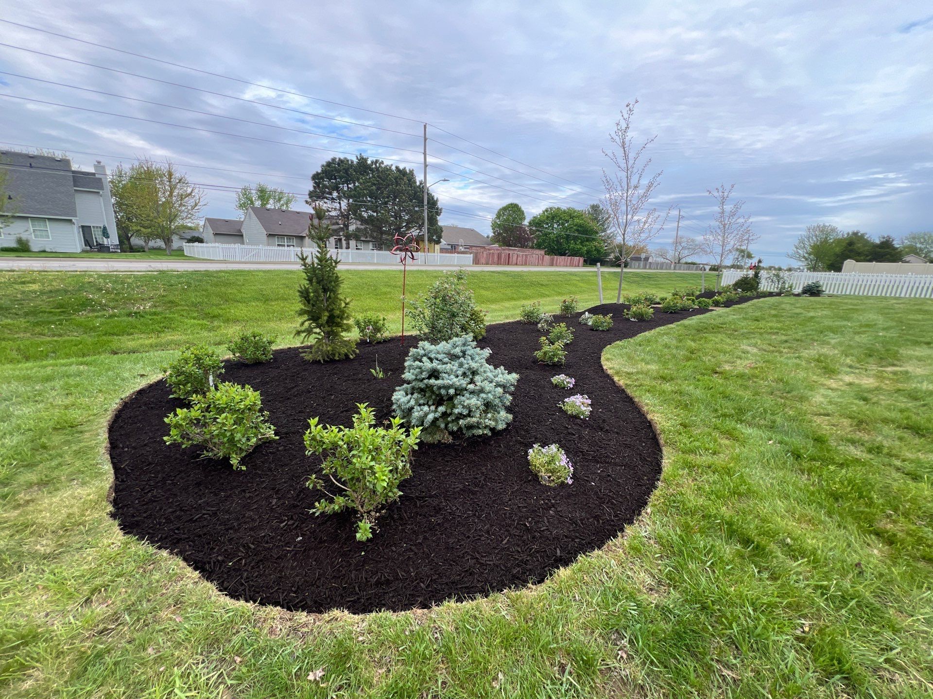 A lush green yard with a circle of mulch and plants.