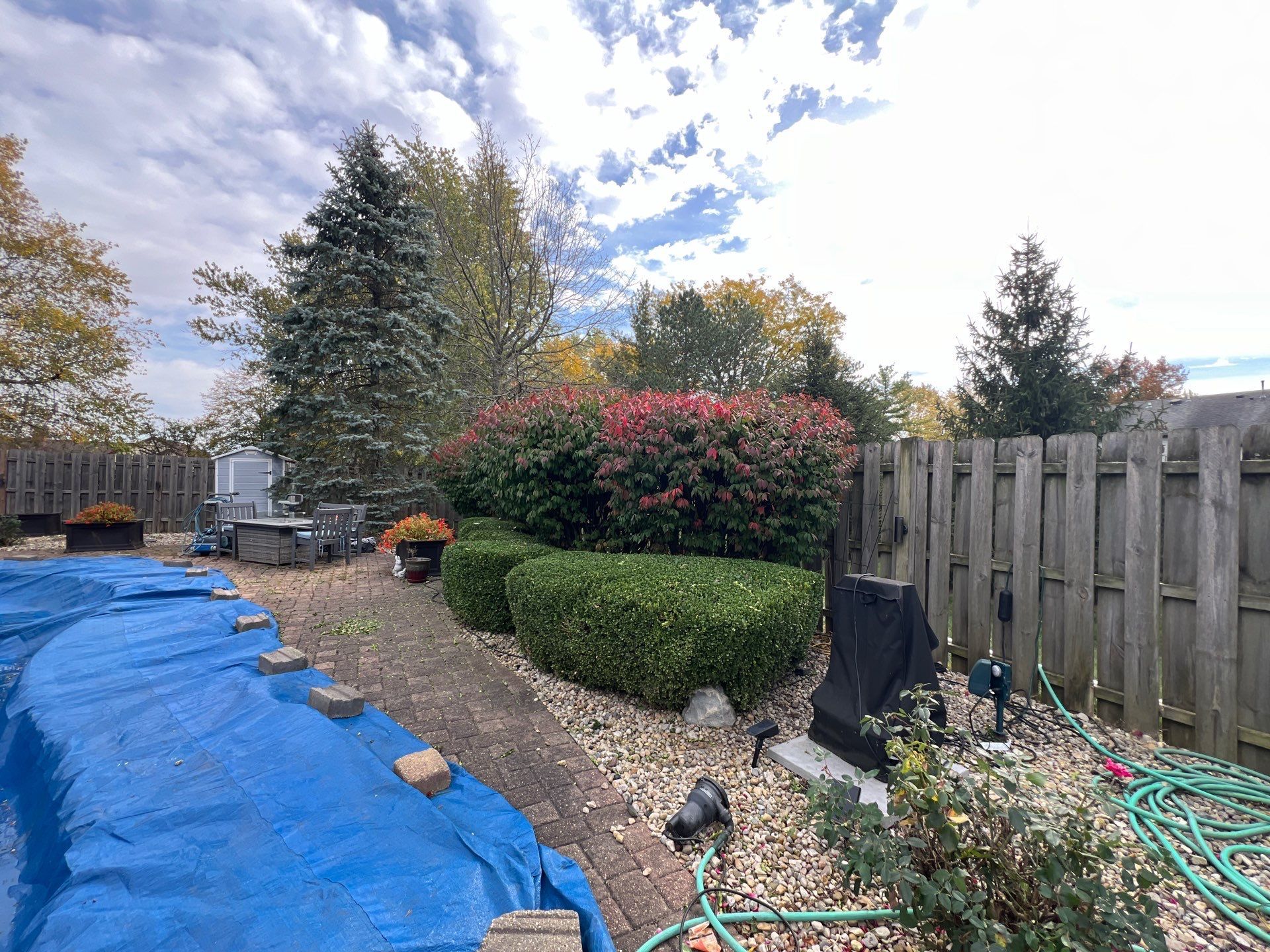 A backyard with a wooden fence and a blue tarp on the ground.