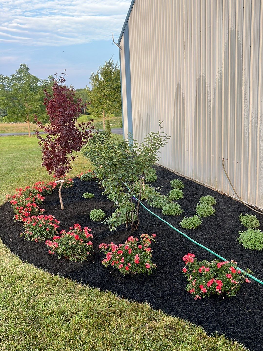 A garden with flowers and a hose in front of a building.