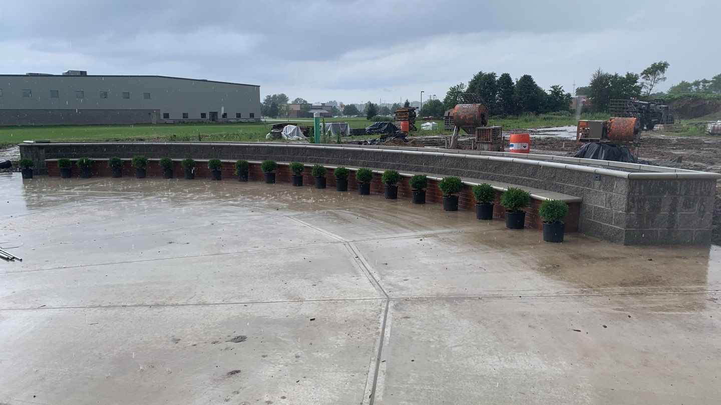 A row of potted plants sitting on top of a concrete surface.