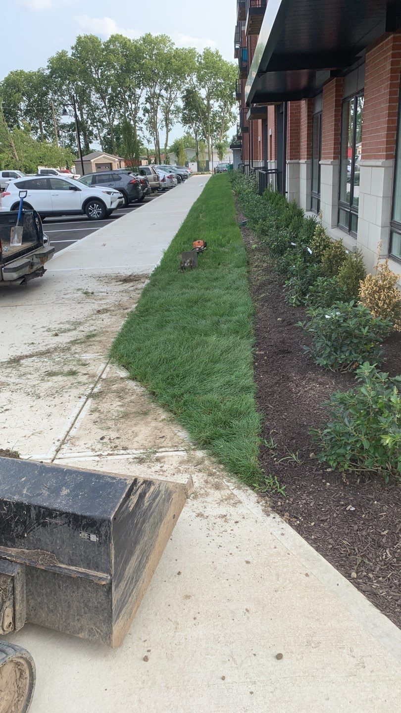 A sidewalk next to a building with a lot of grass on it.