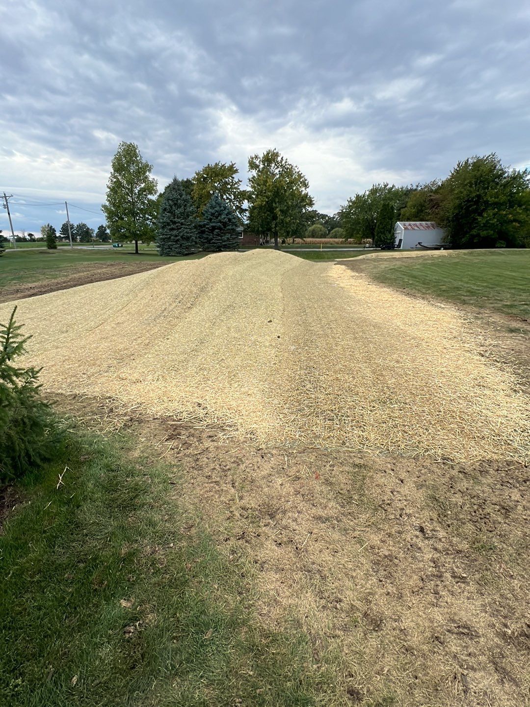 A dirt road going through a grassy field with trees in the background.