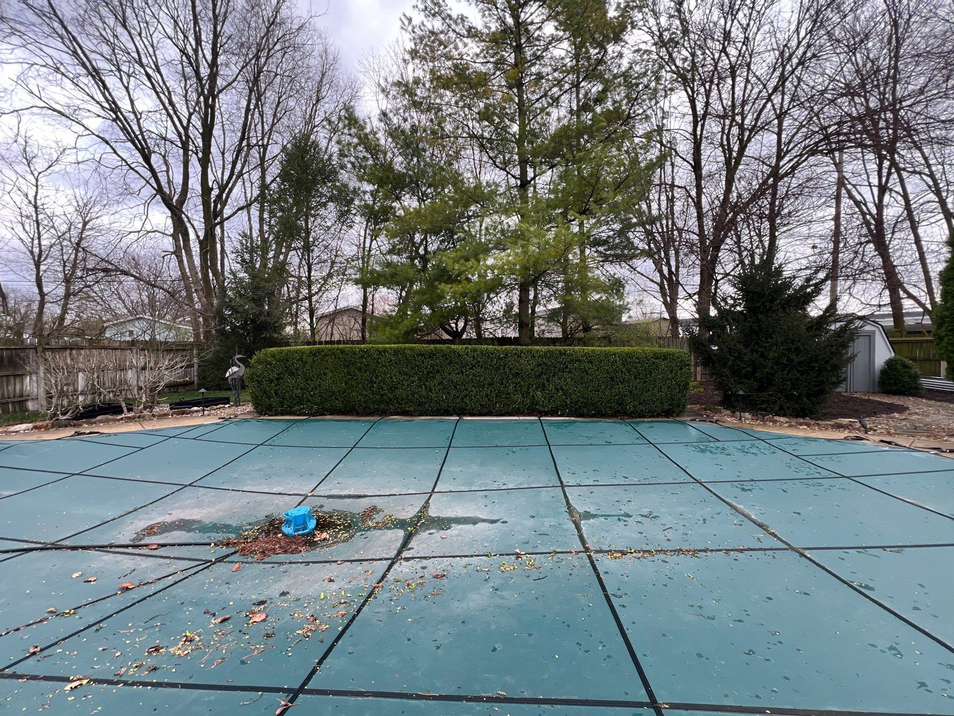 An empty swimming pool with a green cover and trees in the background.