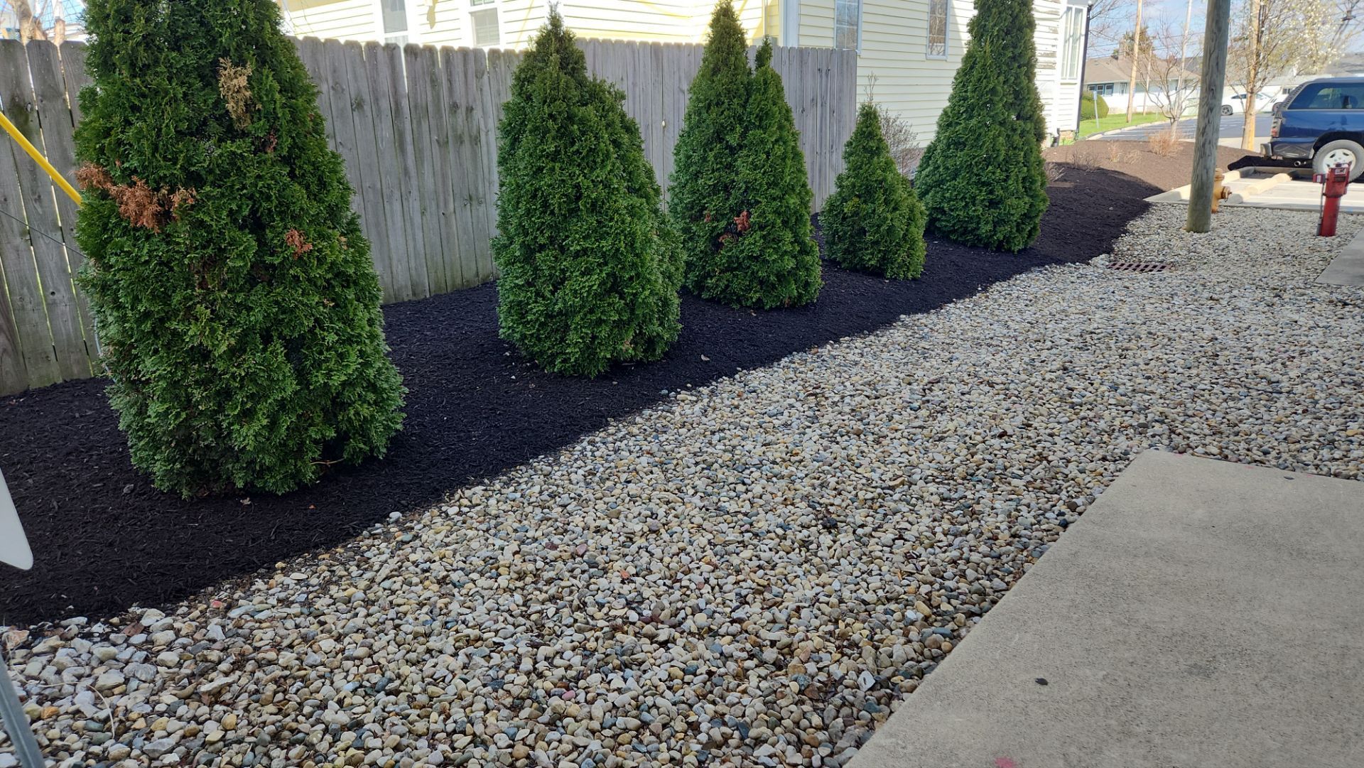 A row of trees sitting on top of a pile of gravel next to a fence.