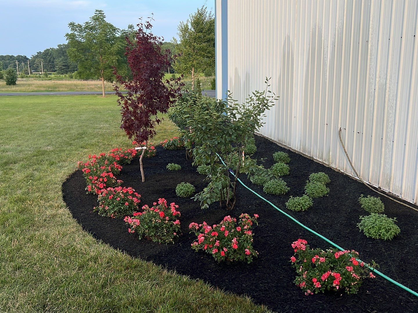 A garden with flowers and a hose in front of a building.