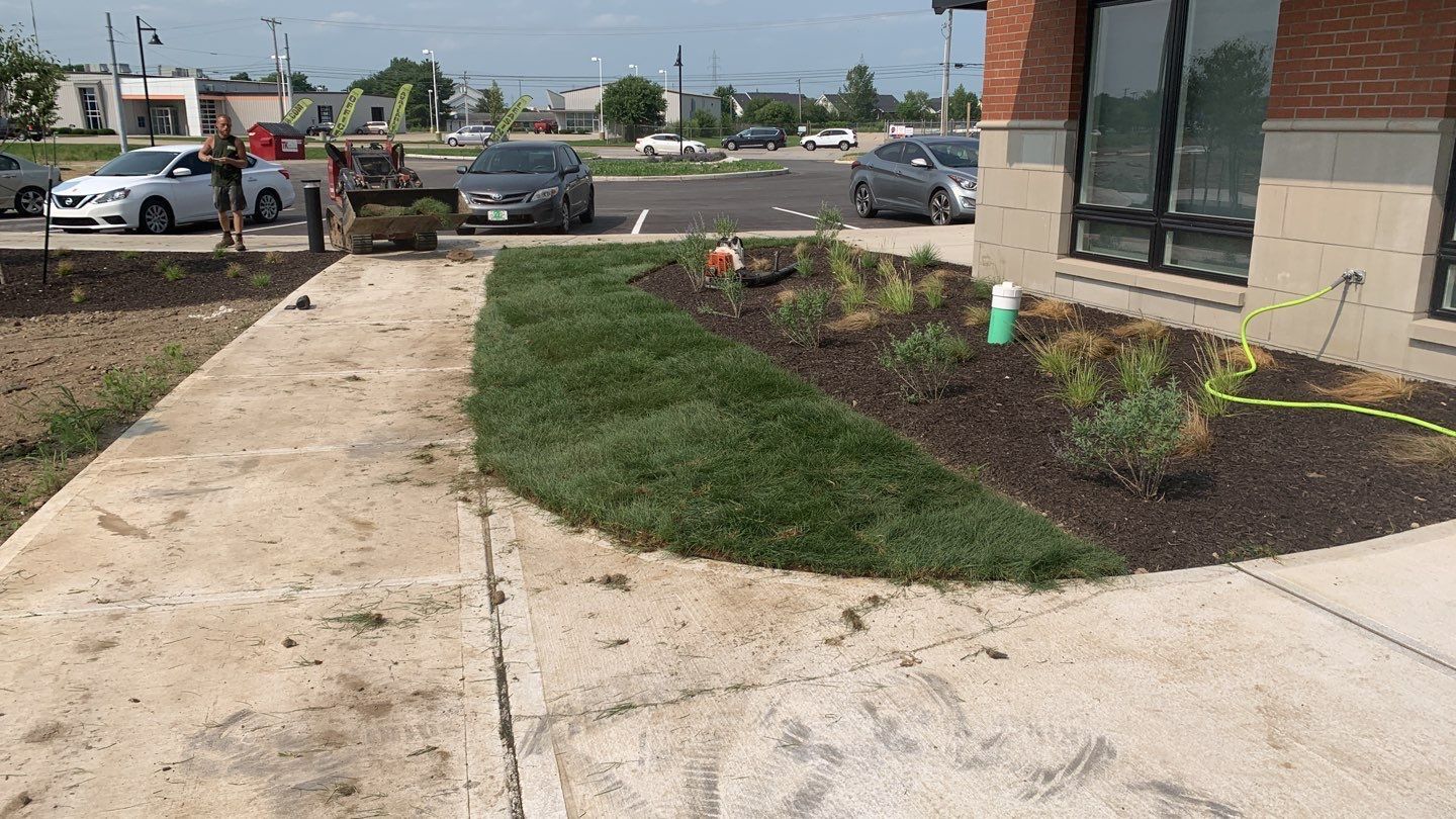A group of people are standing on a sidewalk in front of a building.