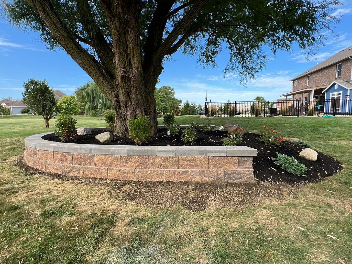 A tree in a garden with a brick wall around it.