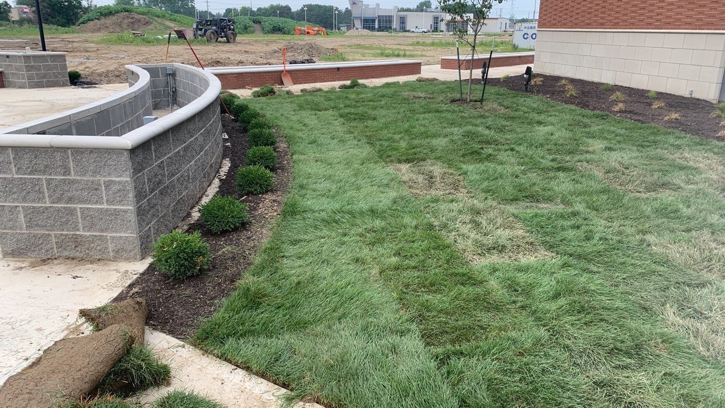 A lush green lawn with a brick wall in the background.