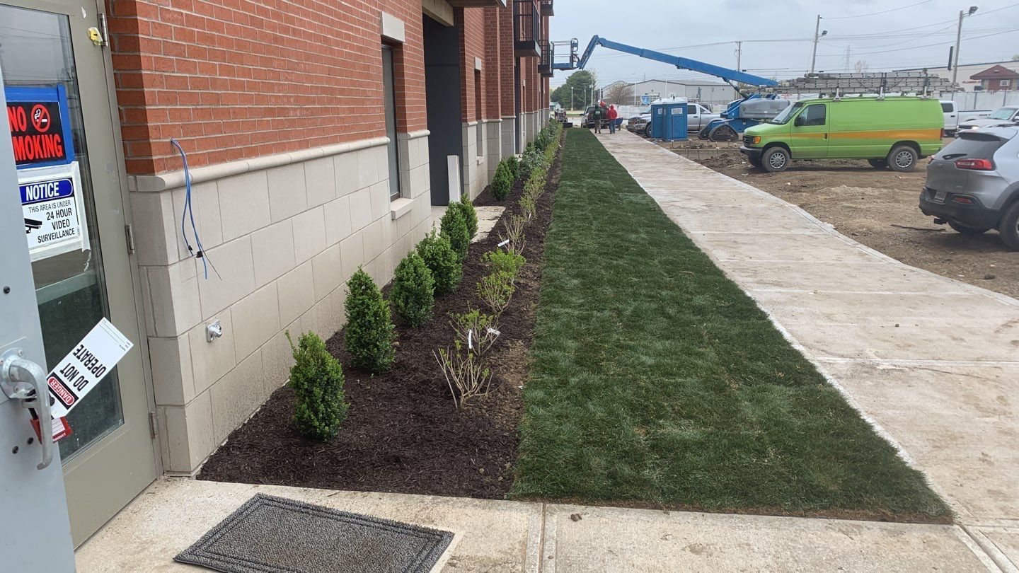 A sidewalk leading to a building with a lush green lawn.