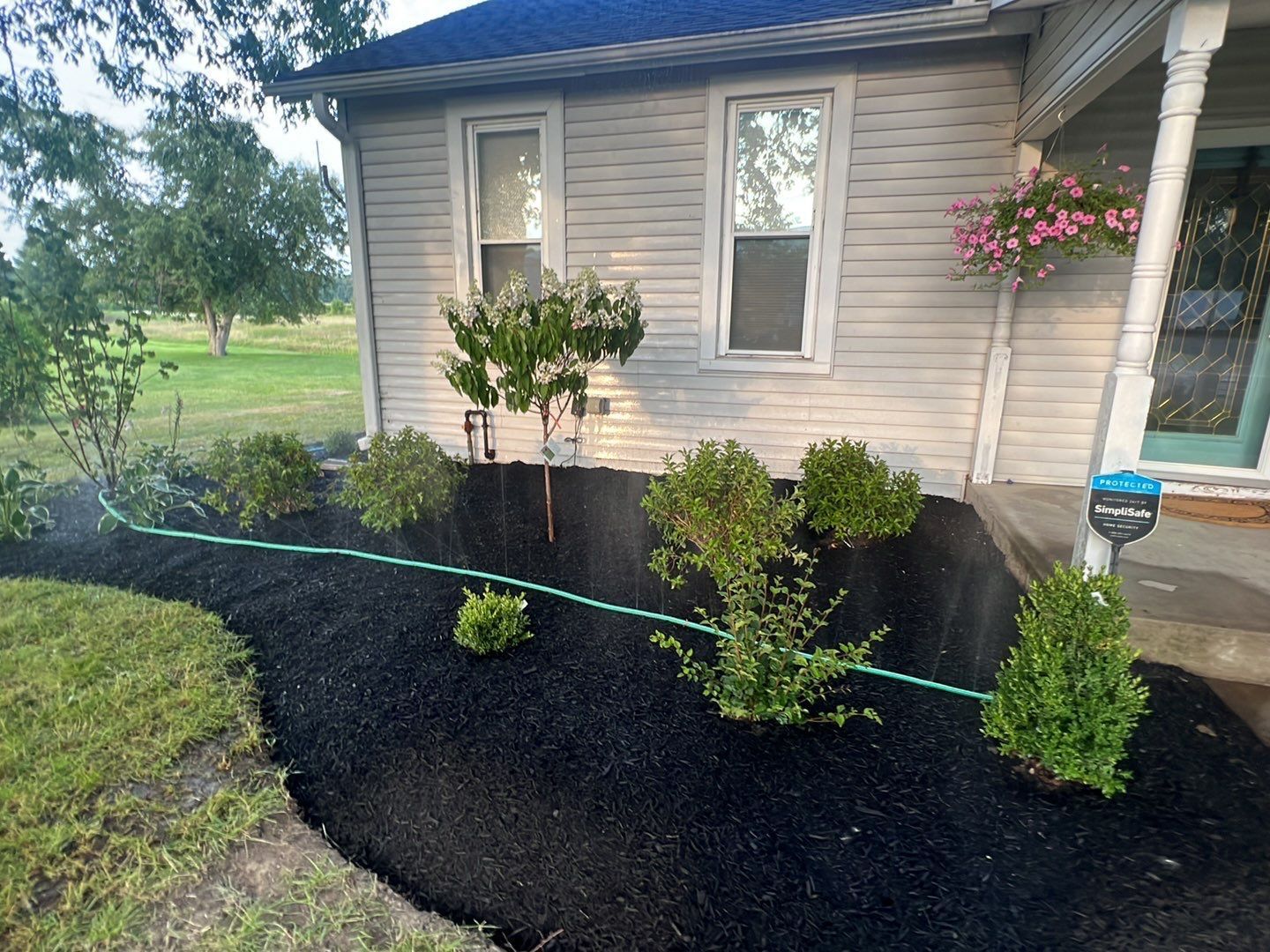 A house with a lot of plants in front of it