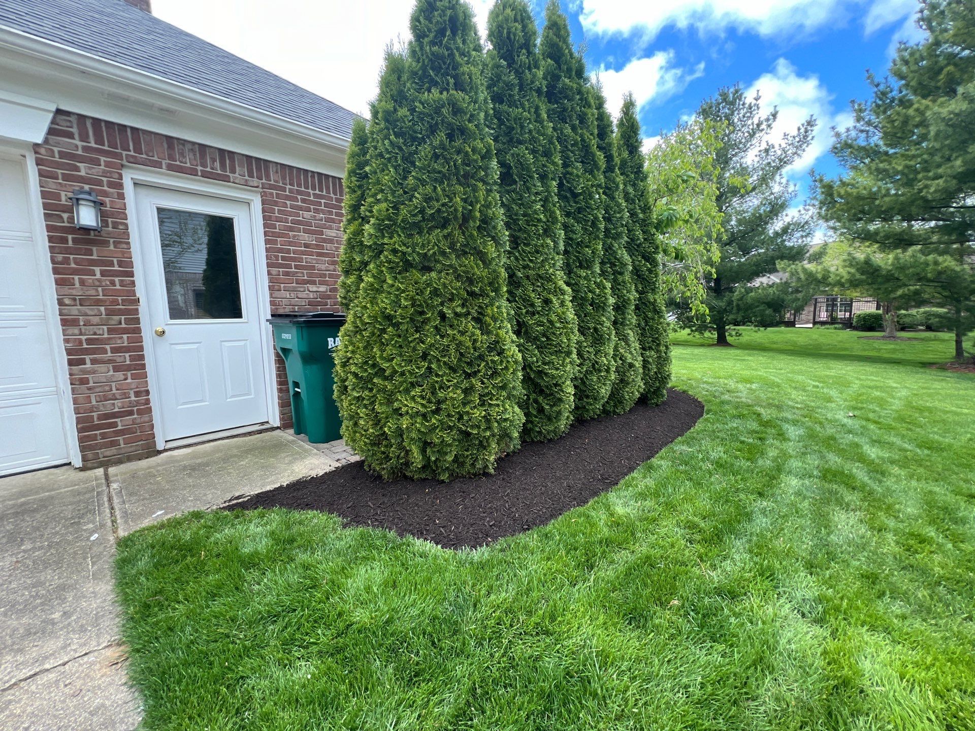 A row of trees in a yard next to a garage.