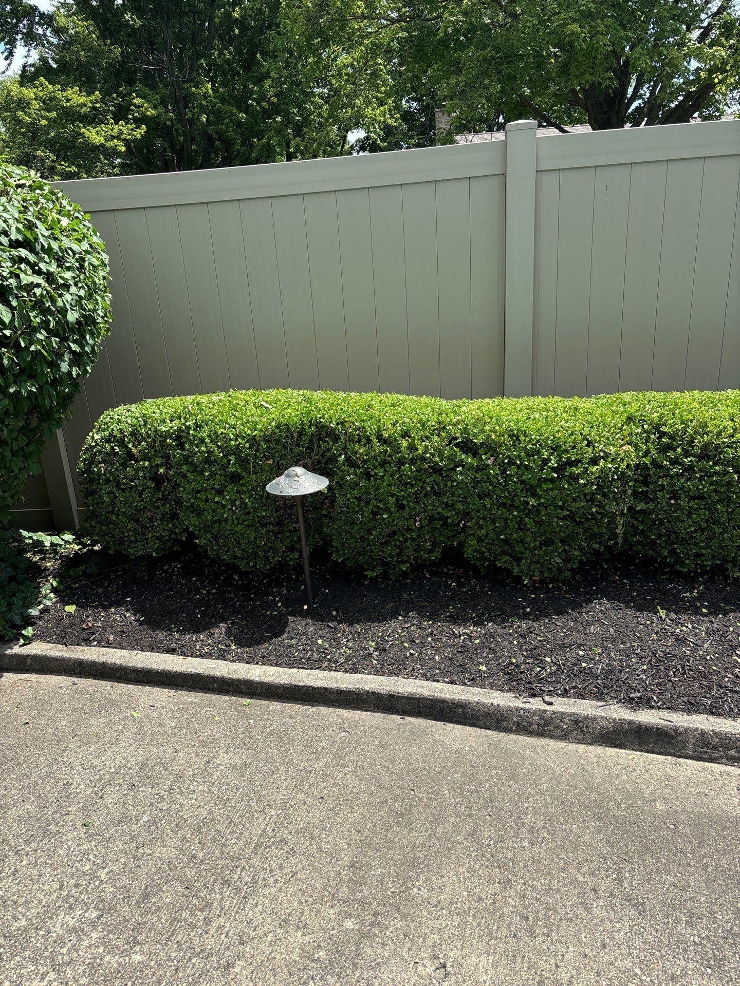 A white fence is surrounded by bushes and trees in a yard.