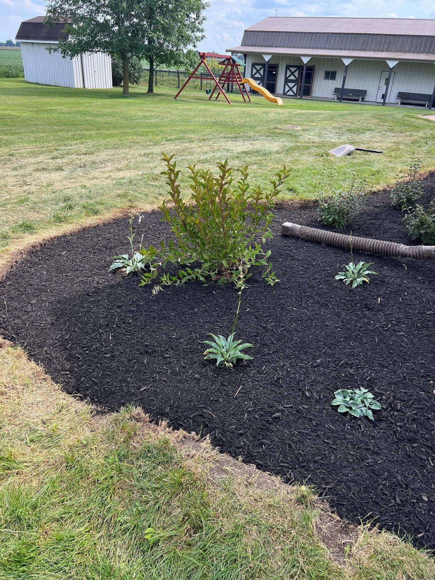 A garden with a playground in the background and a house in the background.