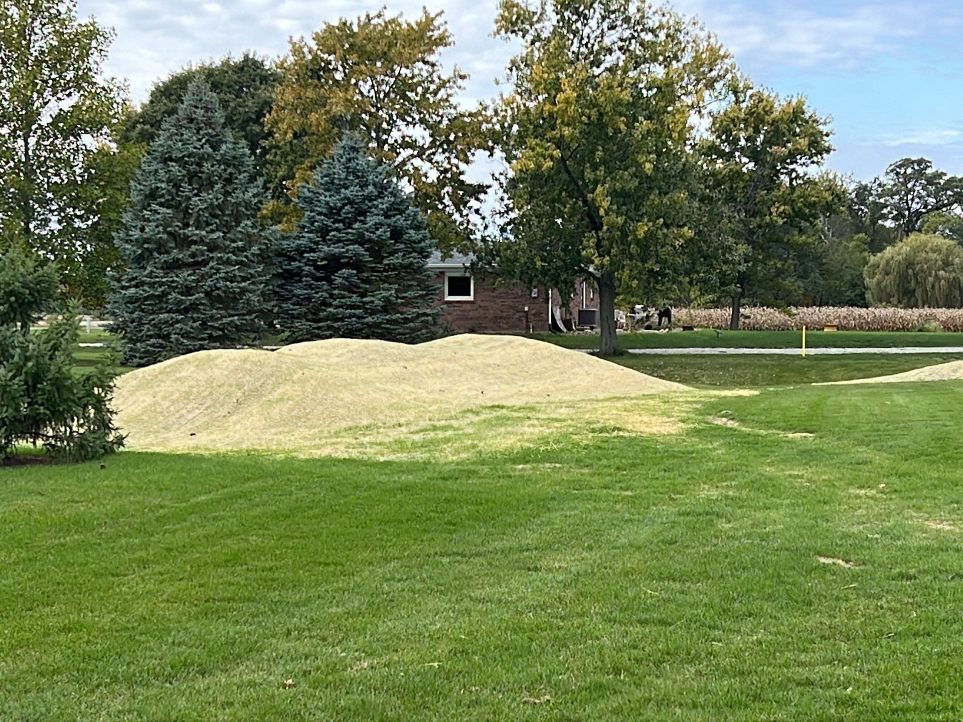 A house is sitting on top of a grassy hill in the middle of a park.