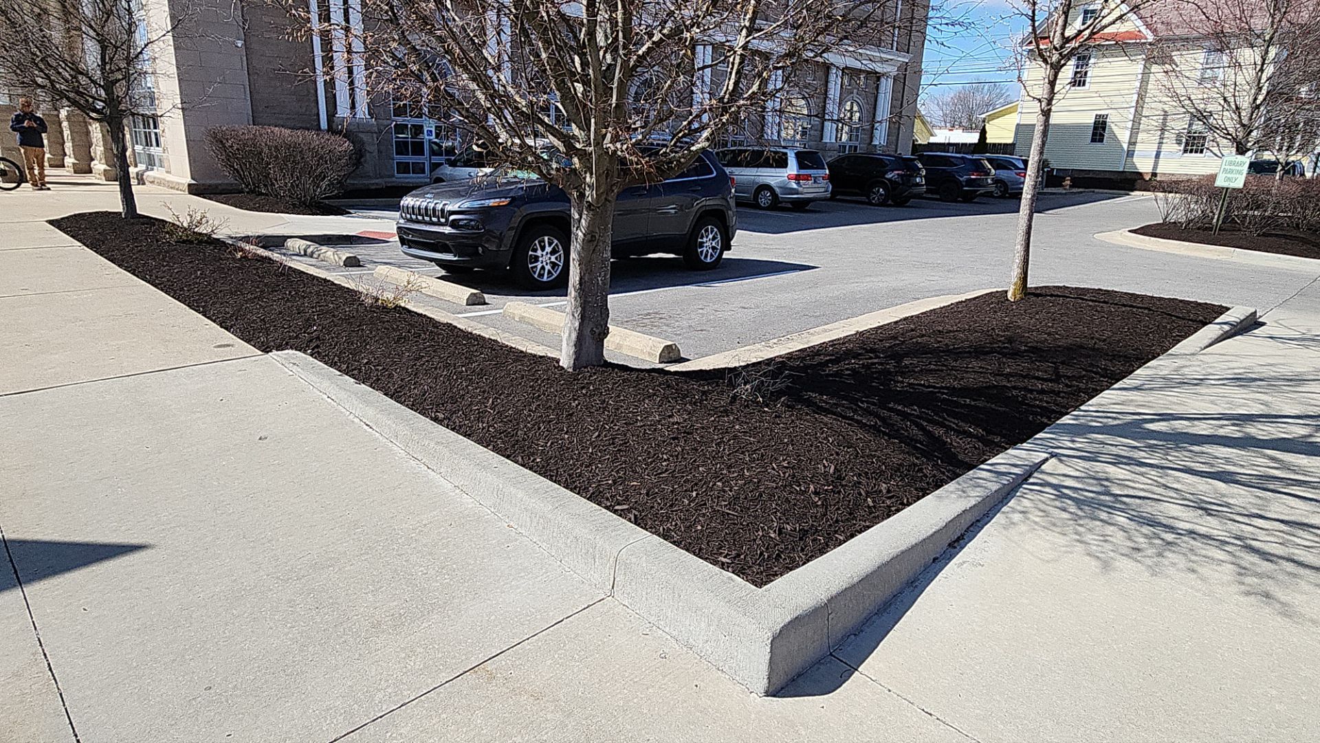 A car is parked in a parking lot next to a tree.