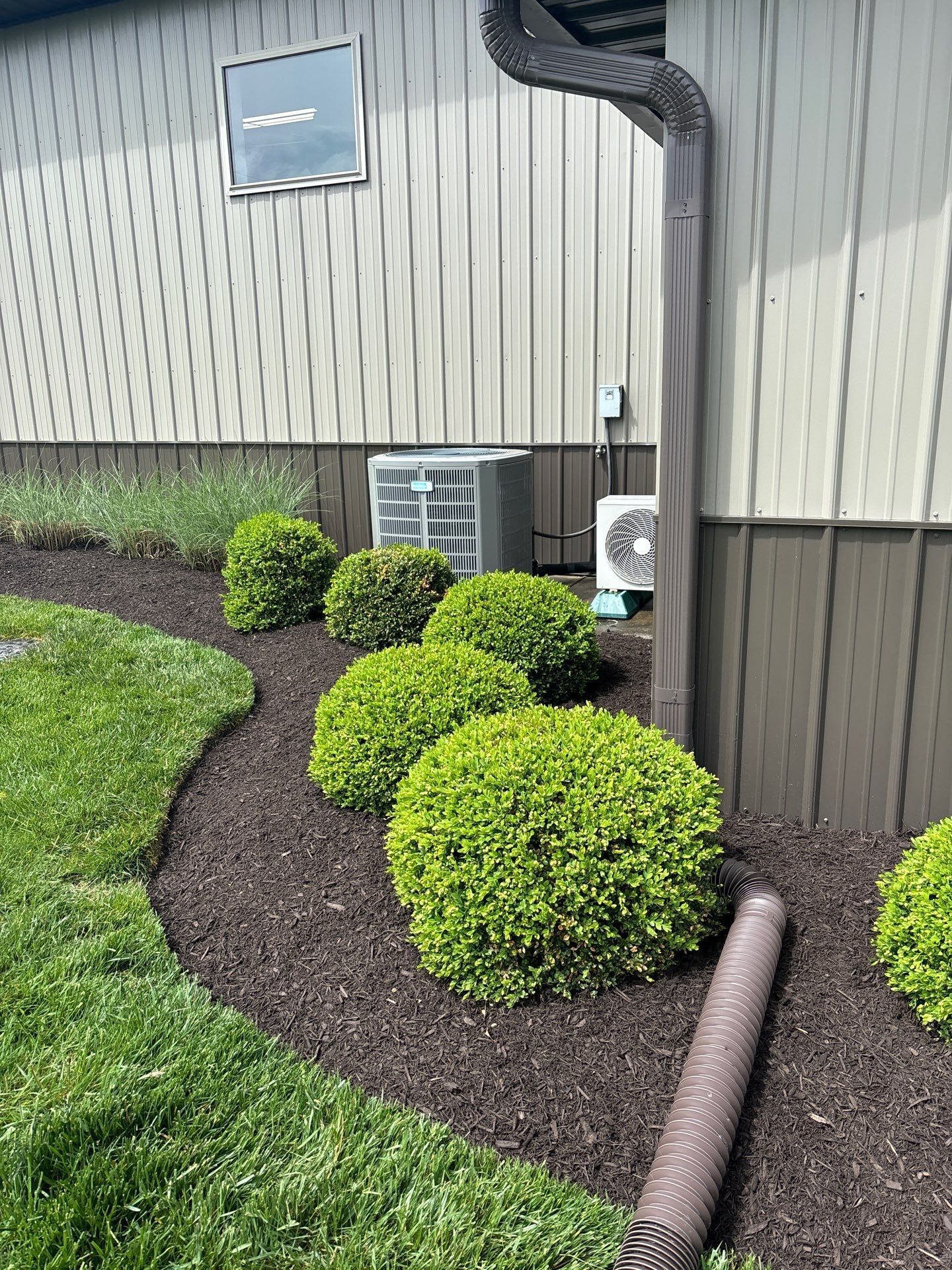 A house with a lot of bushes and shrubs in front of it.