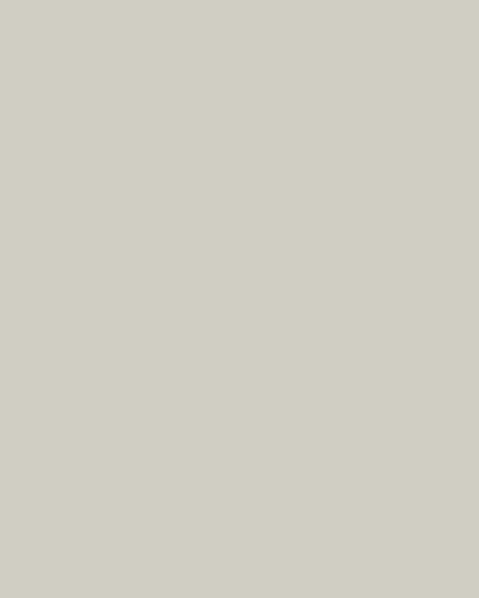 Plain light beige background with a narrow dark gray vertical bar on the left edge