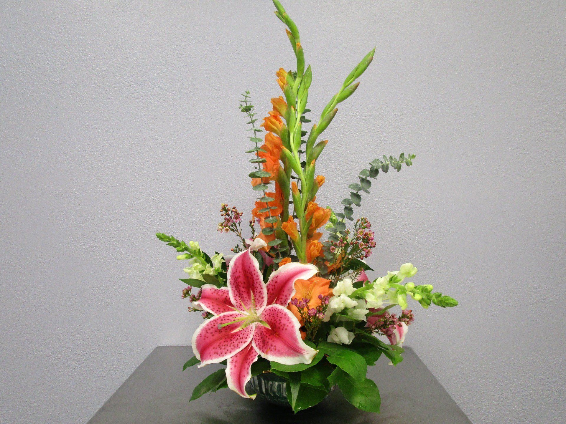 (480) 9837040 Apache Junction, AZ