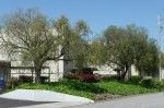 Trees in front of a building with a red car visible. Green grass and a blue sky.