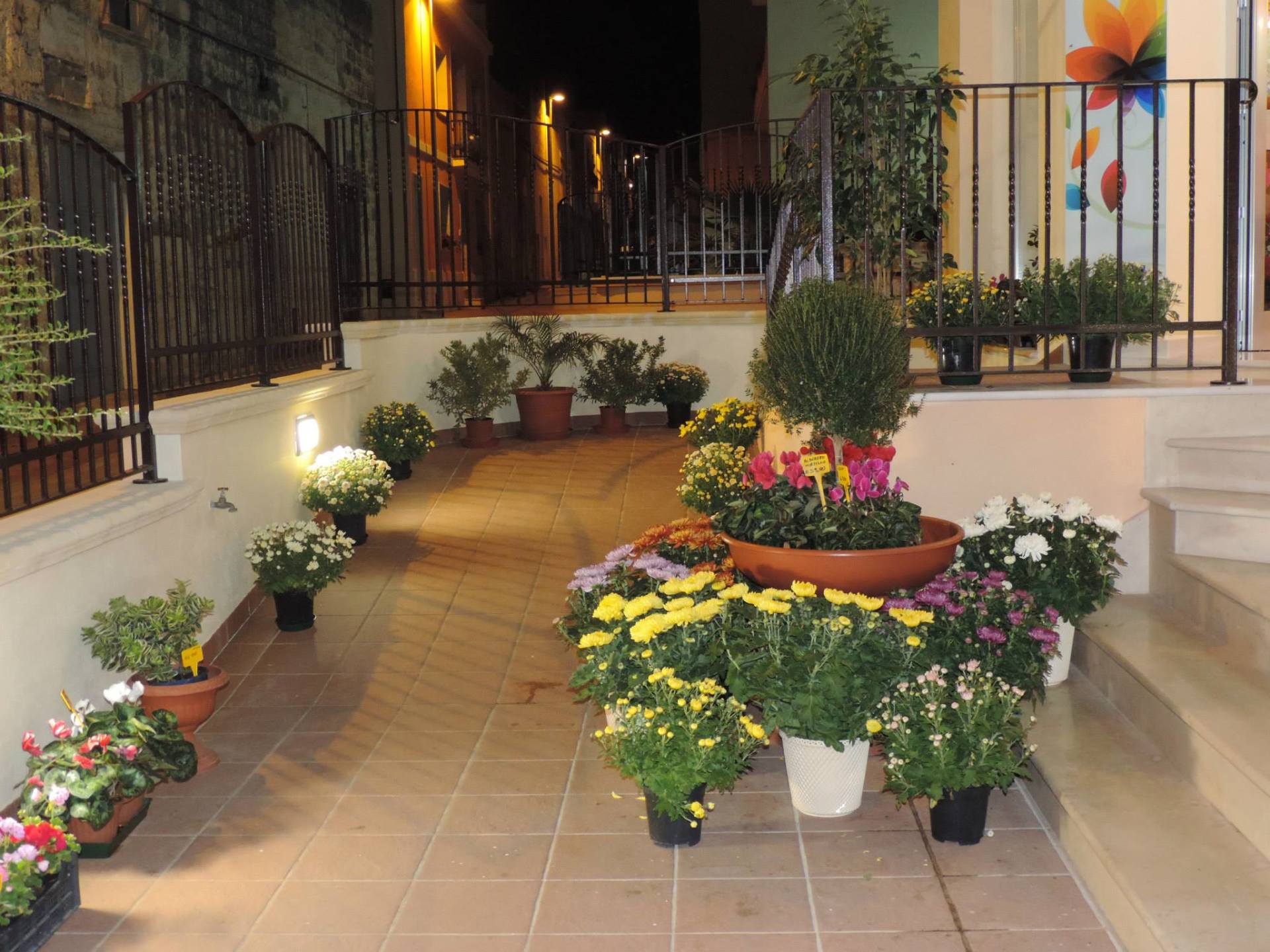 Esposizione fiori esterna