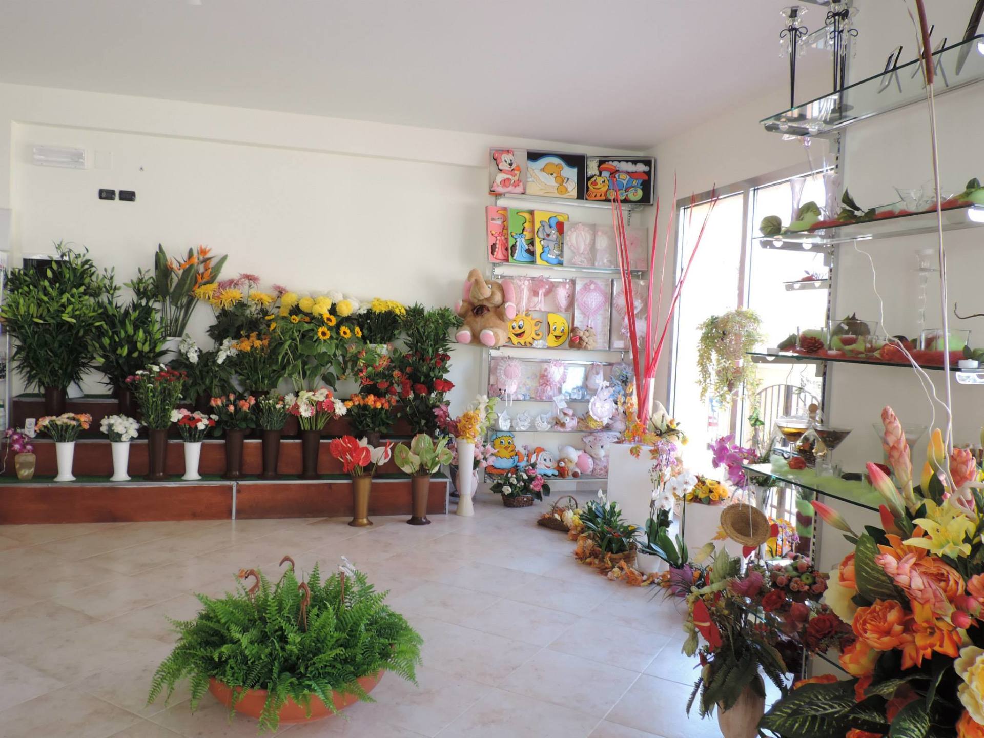 Esposizione fiori interna