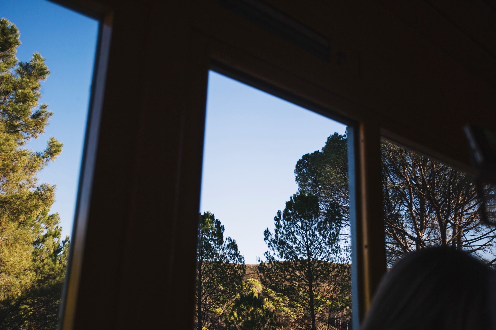 View through a wooden window of trees and a blue sky.