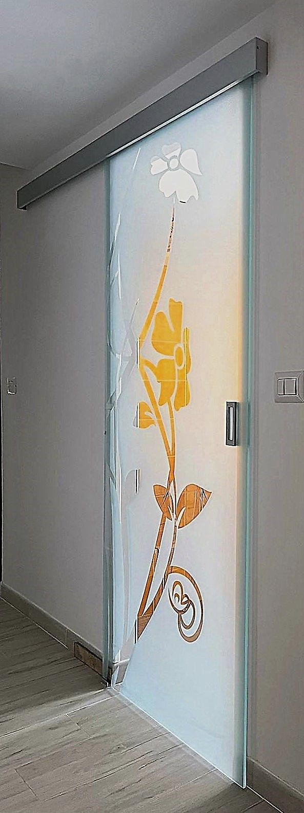 porta in vetro da interno a Roma