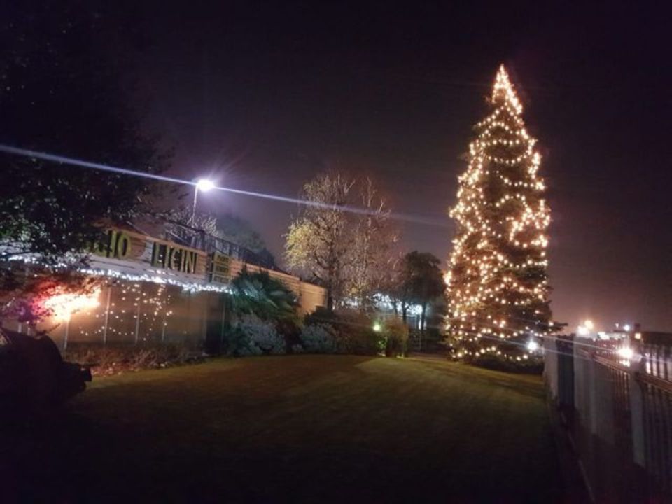 vendita alberi di Natale