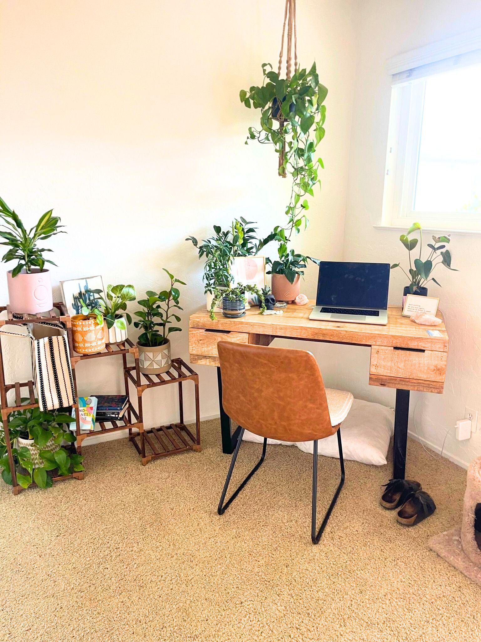 small-business-cleaning-service-san-jose