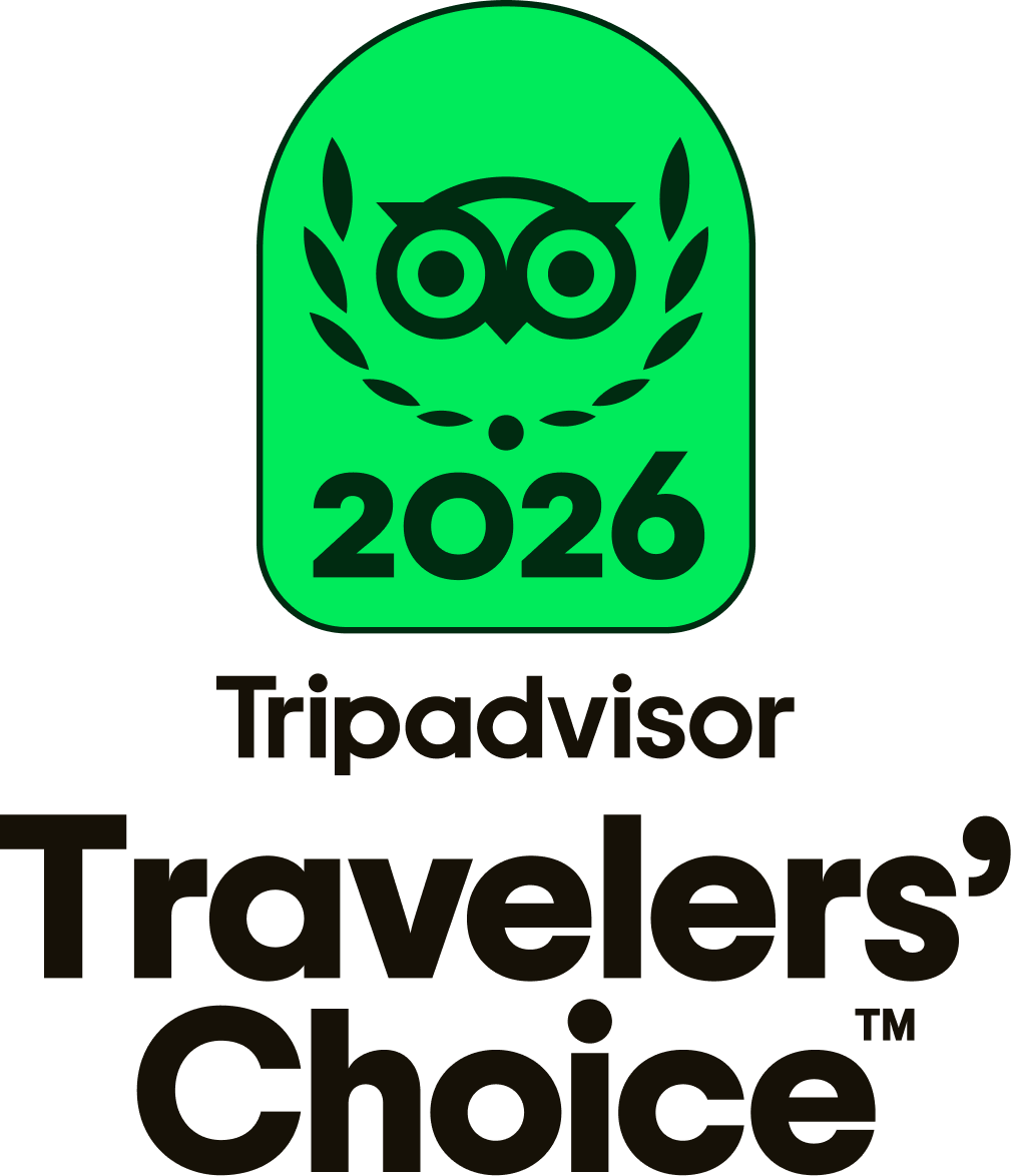 Tripadvisor Travelers' Choice 2020 award badge, black and white, with owl logo inside a laurel wreath.
